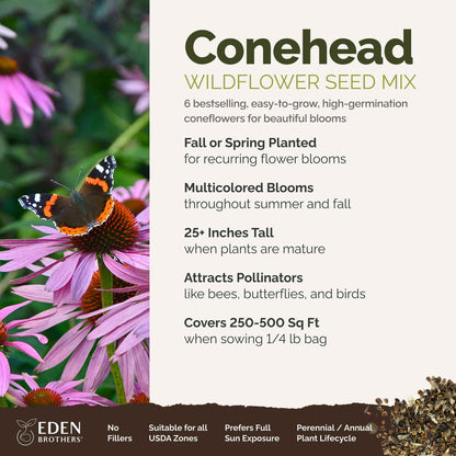 A visual overview of the wildflower seed mix, showcasing expected floral blooms.