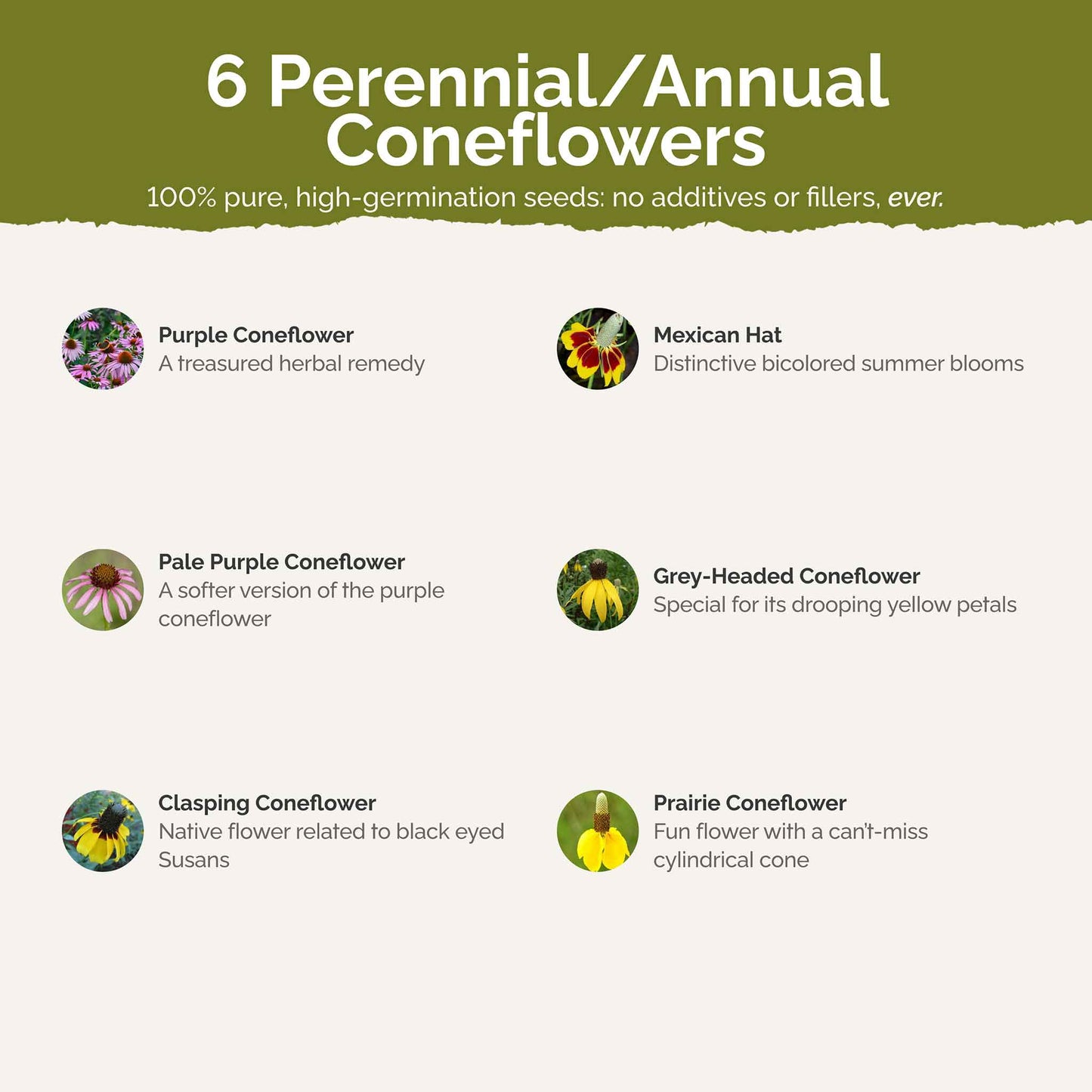 List of flower species and seeds included in the Wildflower Seed Mix.