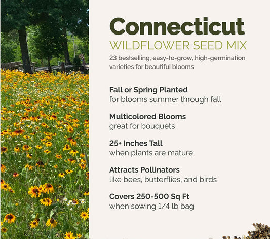 A visual overview of the wildflower seed mix, showcasing expected floral blooms.