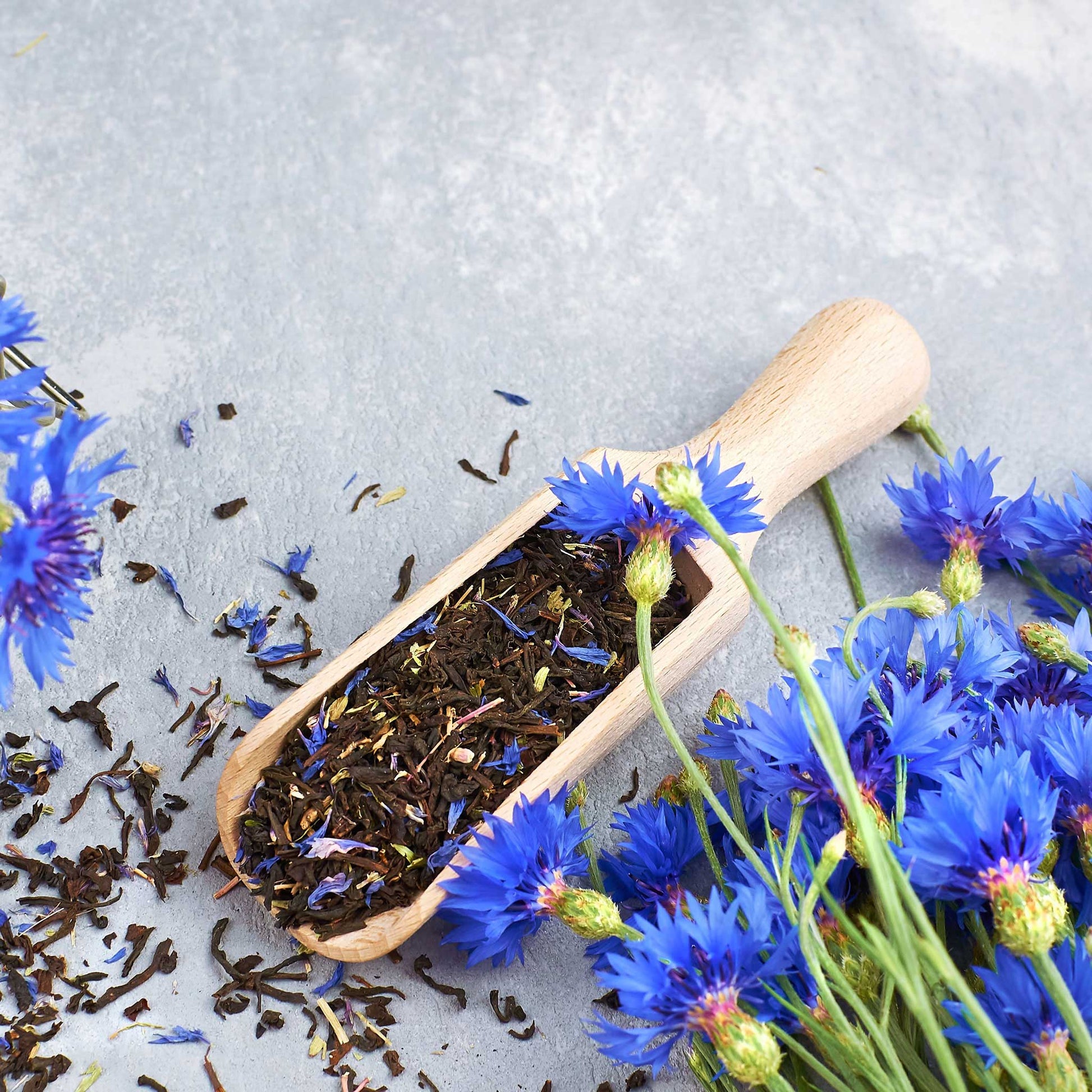 Blue tall cornflower petals with seeds on a wooden scoop against a plain background.