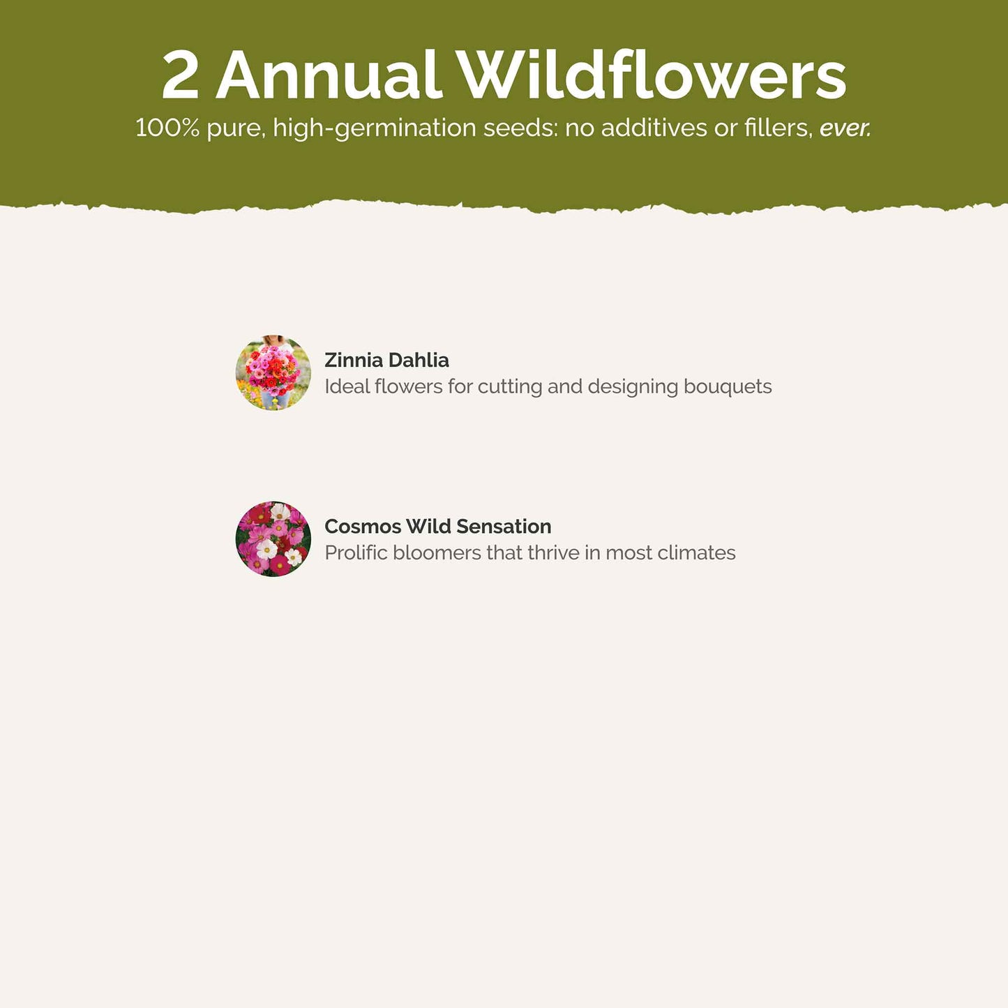 List of flower species and seeds included in the Wildflower Seed Mix.