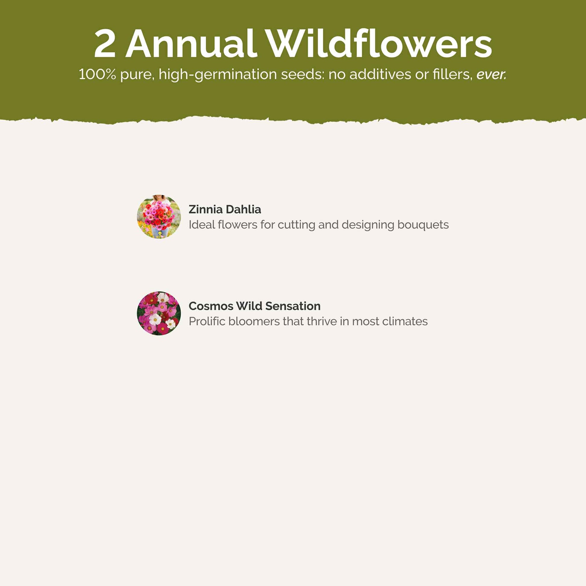 List of flower species and seeds included in the Wildflower Seed Mix.