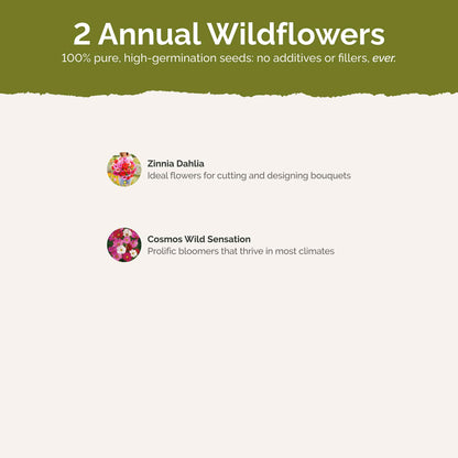 List of flower species and seeds included in the Wildflower Seed Mix.