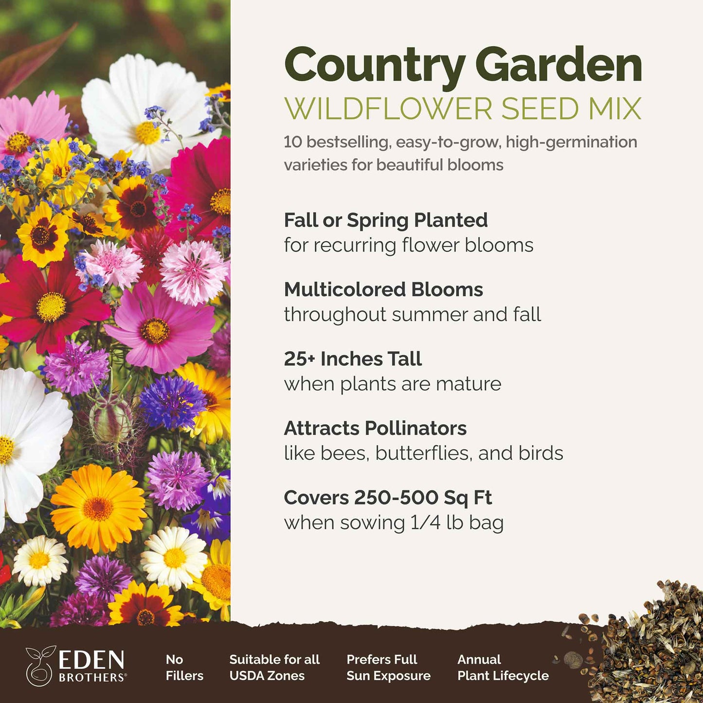 A visual overview of the wildflower seed mix, showcasing expected floral blooms.