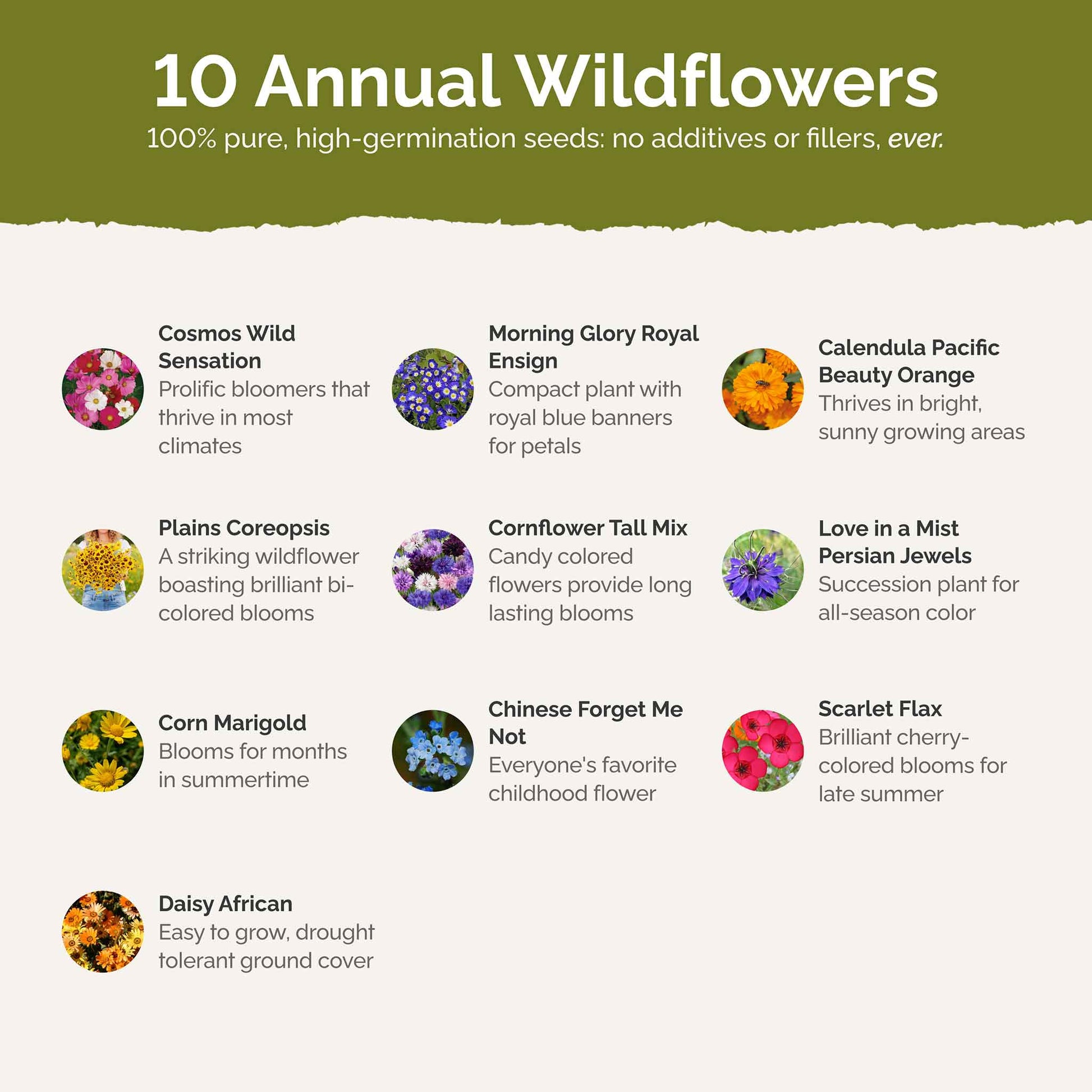 List of flower species and seeds included in the Wildflower Seed Mix.