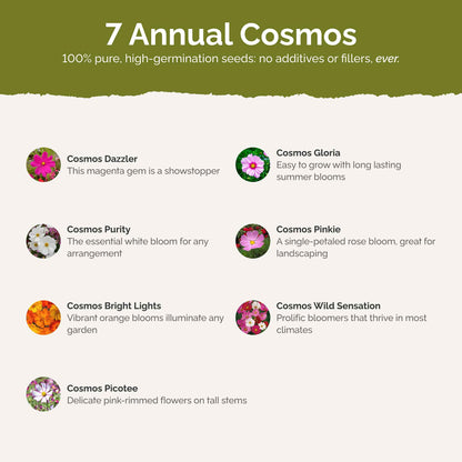 List of flower species and seeds included in the Wildflower Seed Mix.