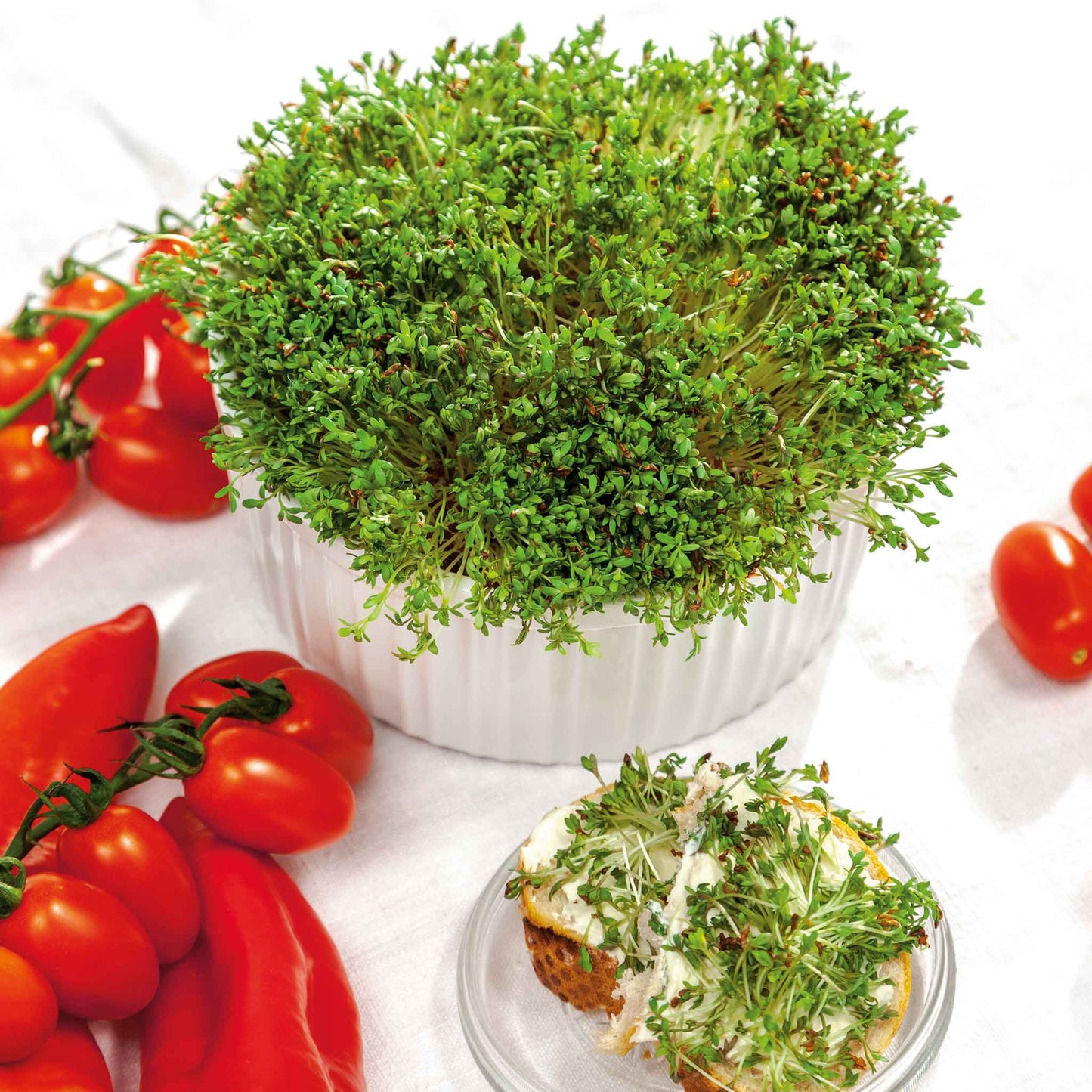 A close-up shot of vibrant green curled cress leaves, freshly harvested and ready for culinary use.