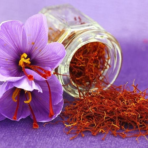 A Saffron Crocus flower with a jar of harvested saffron spilling out.
