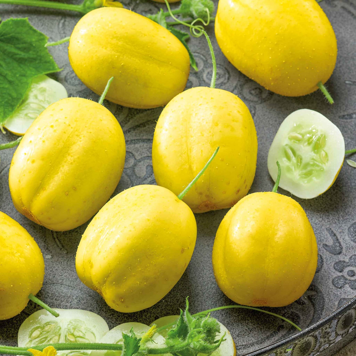 Small round Lemon Cucumbers on a dark background.