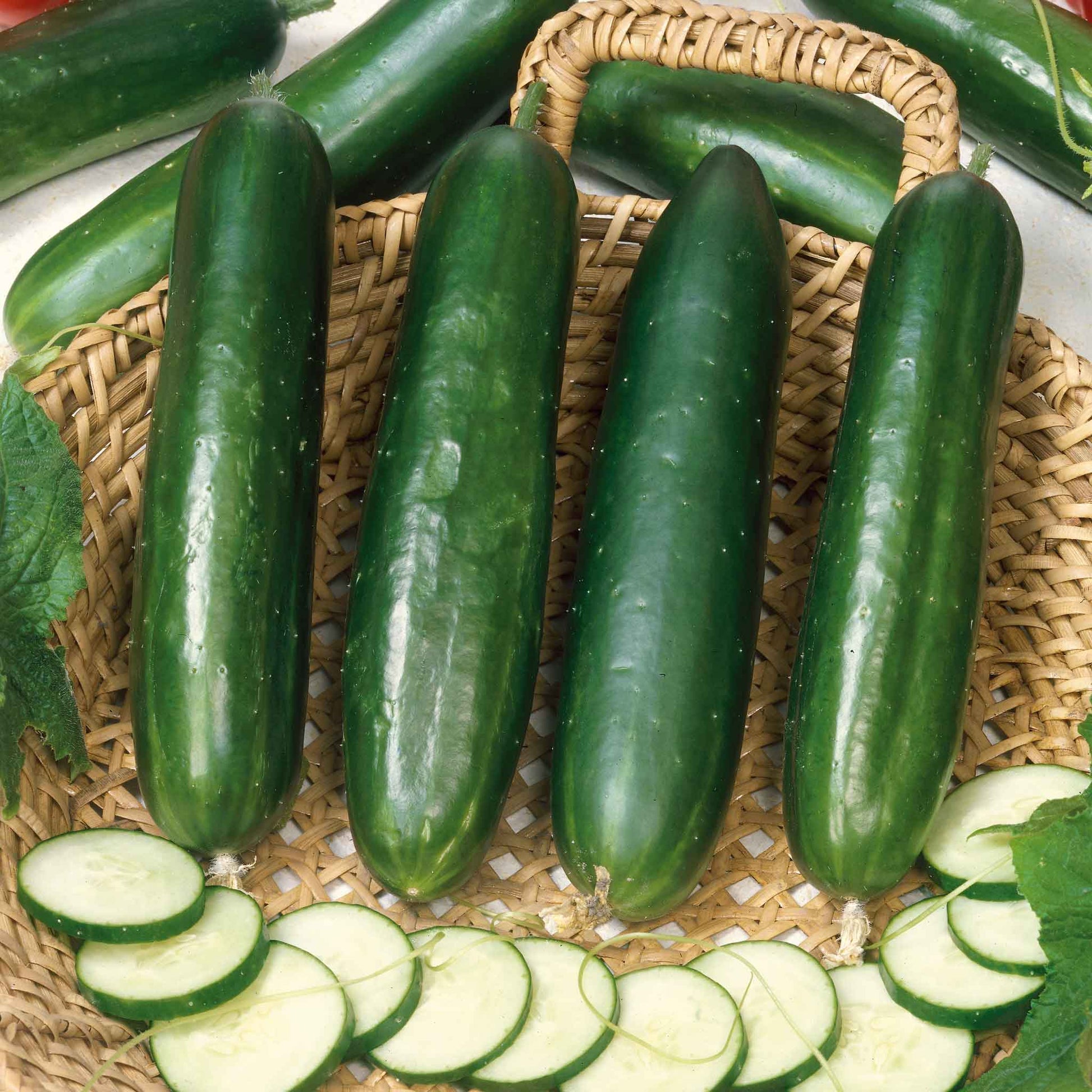 Long Green Improved cucumbers with a smooth skin and a slightly tapered end, set against a blurred background.
