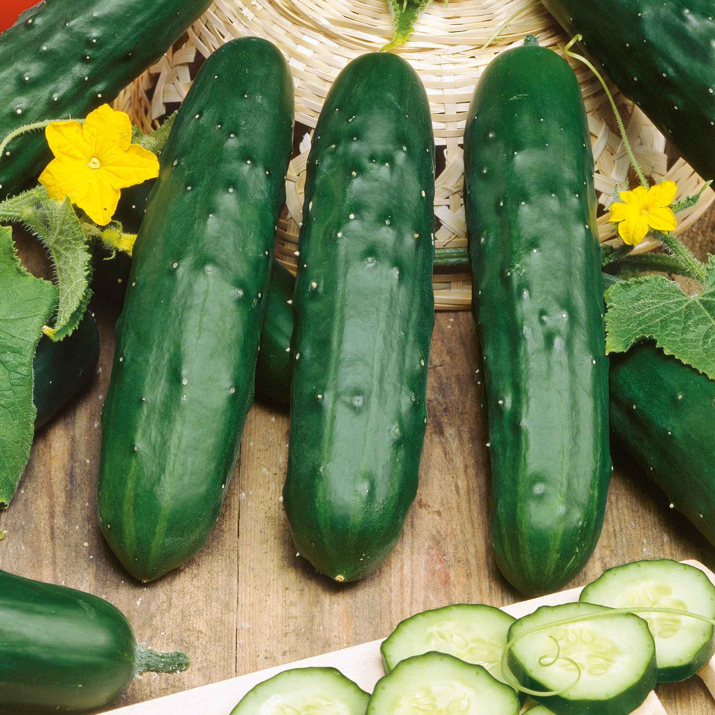 Several Marketer cucumbers showing bumpy skin and some slices of cucumbers on a cutting board.