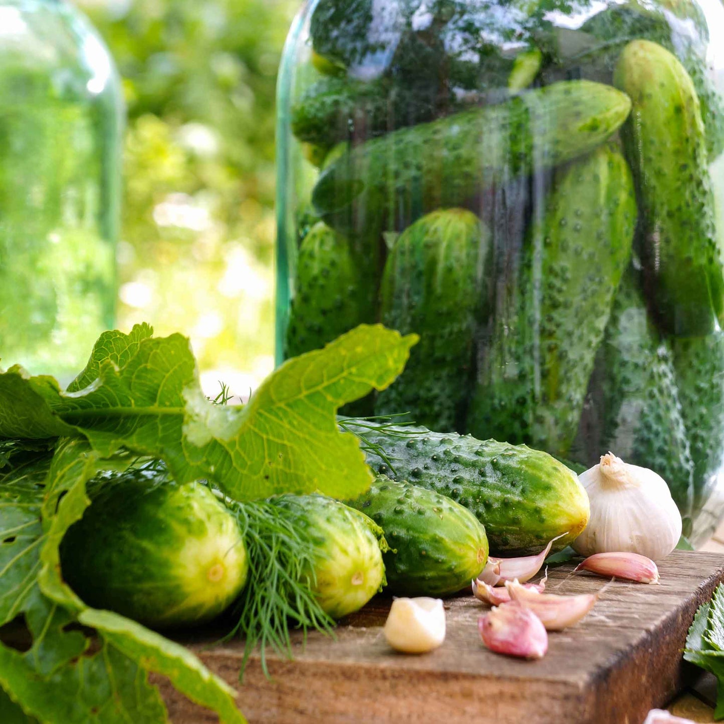 A close-up shot of green national pickling cucumbers, highlighted against a light background, emphasizing their texture.
