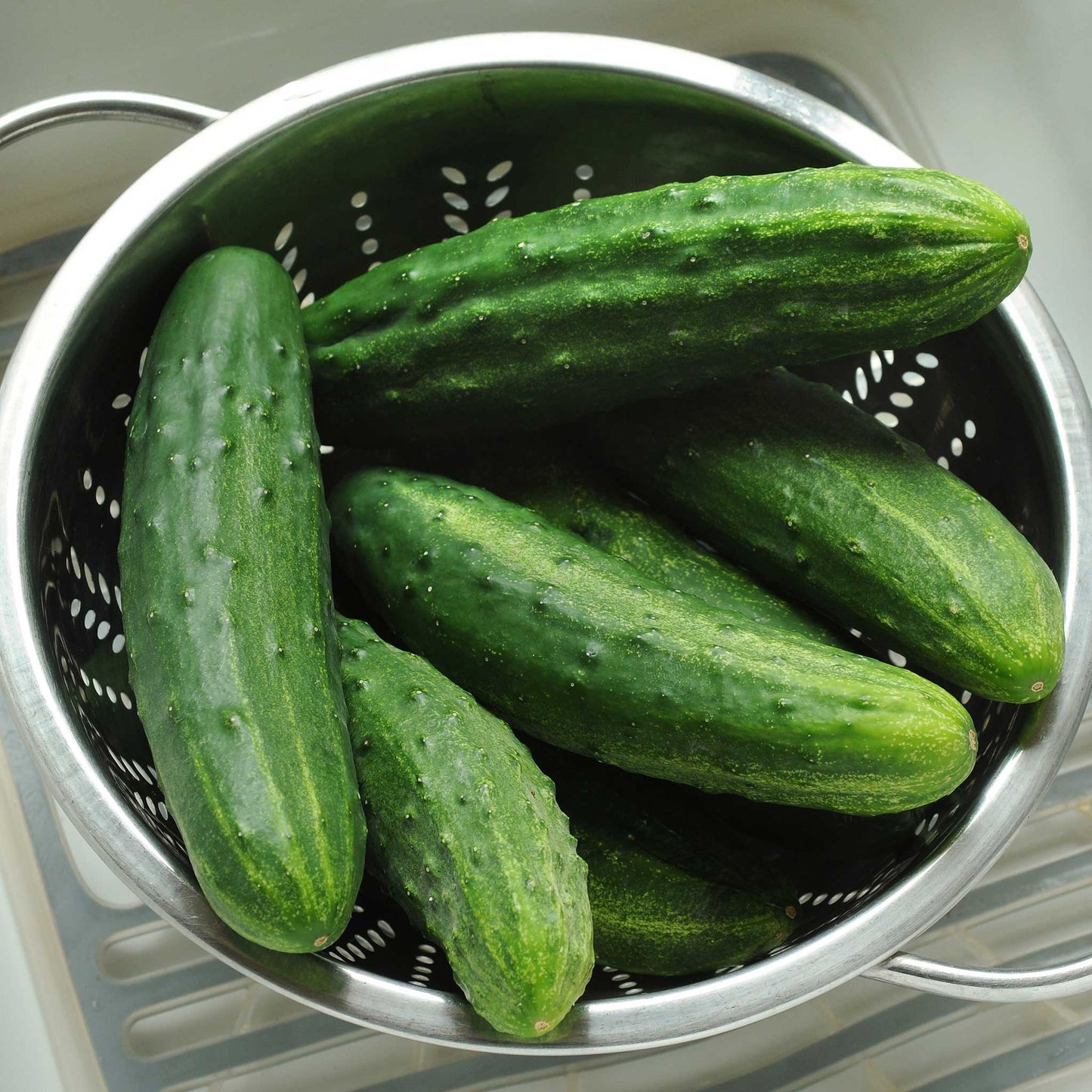 Freshly harvested Patio Snacker Cucumbers in a strainer just washed.