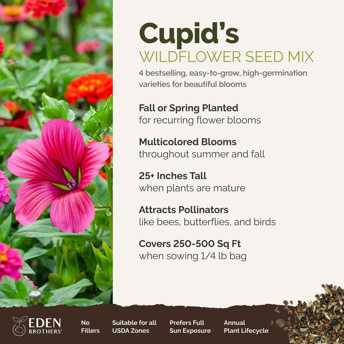 A visual overview of the wildflower seed mix, showcasing expected floral blooms.