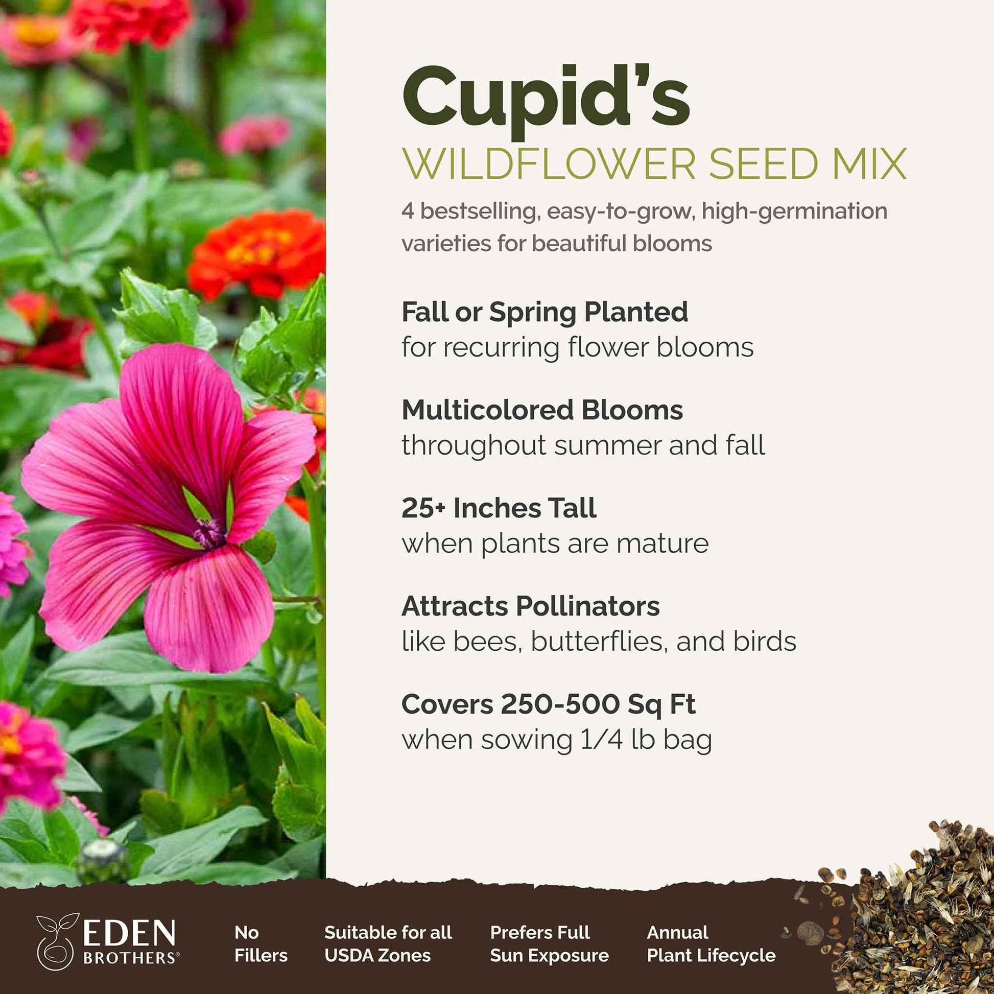 A visual overview of the wildflower seed mix, showcasing expected floral blooms.