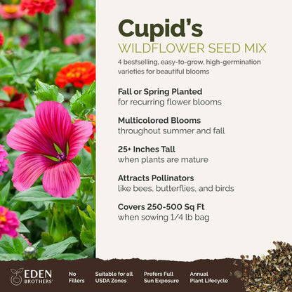 A visual overview of the wildflower seed mix, showcasing expected floral blooms.