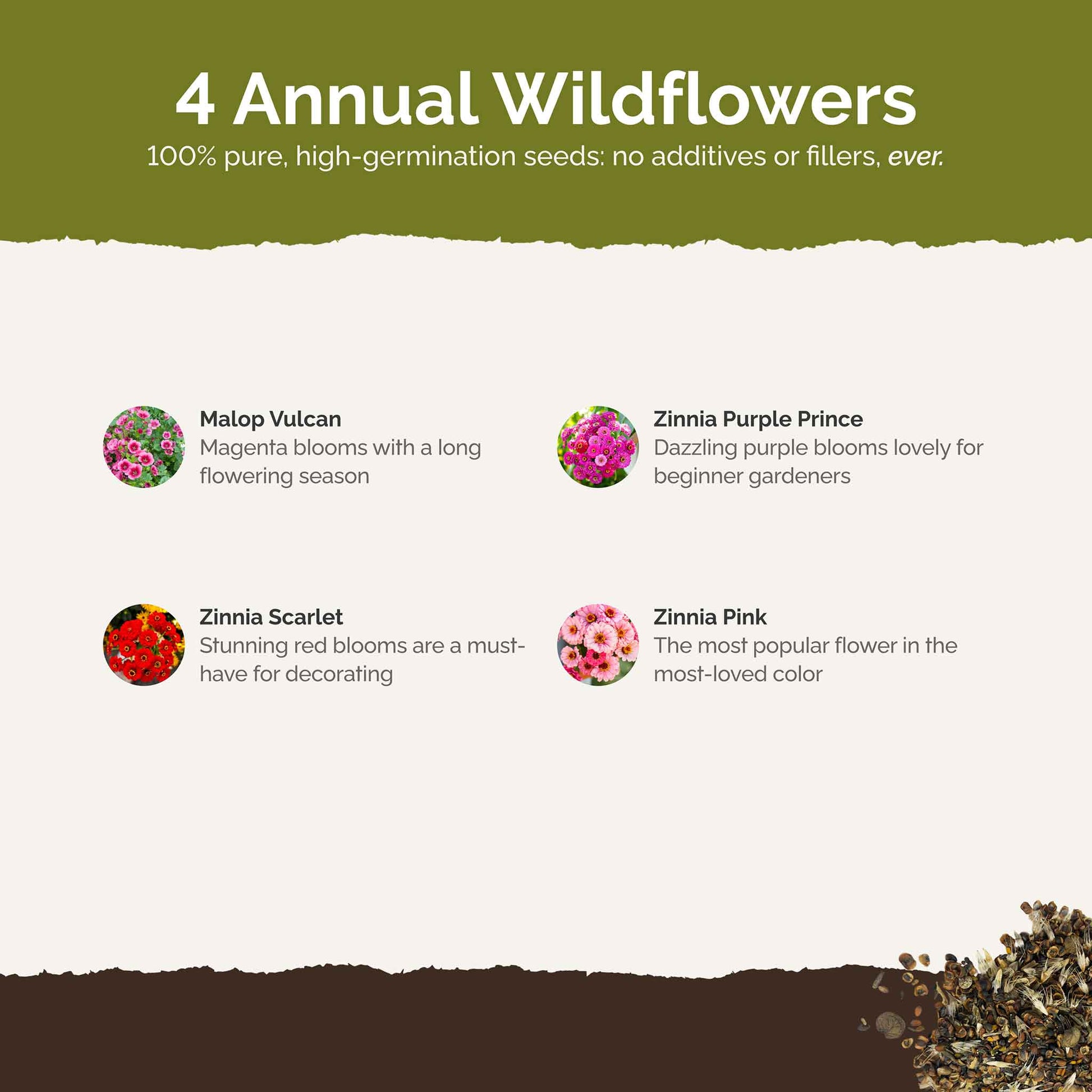 List of flower species and seeds included in the Wildflower Seed Mix.