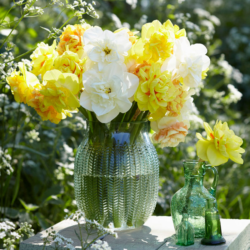 A Country Roads Mix daffodil bouquet arranged in a glass vase in an outdoor setting.