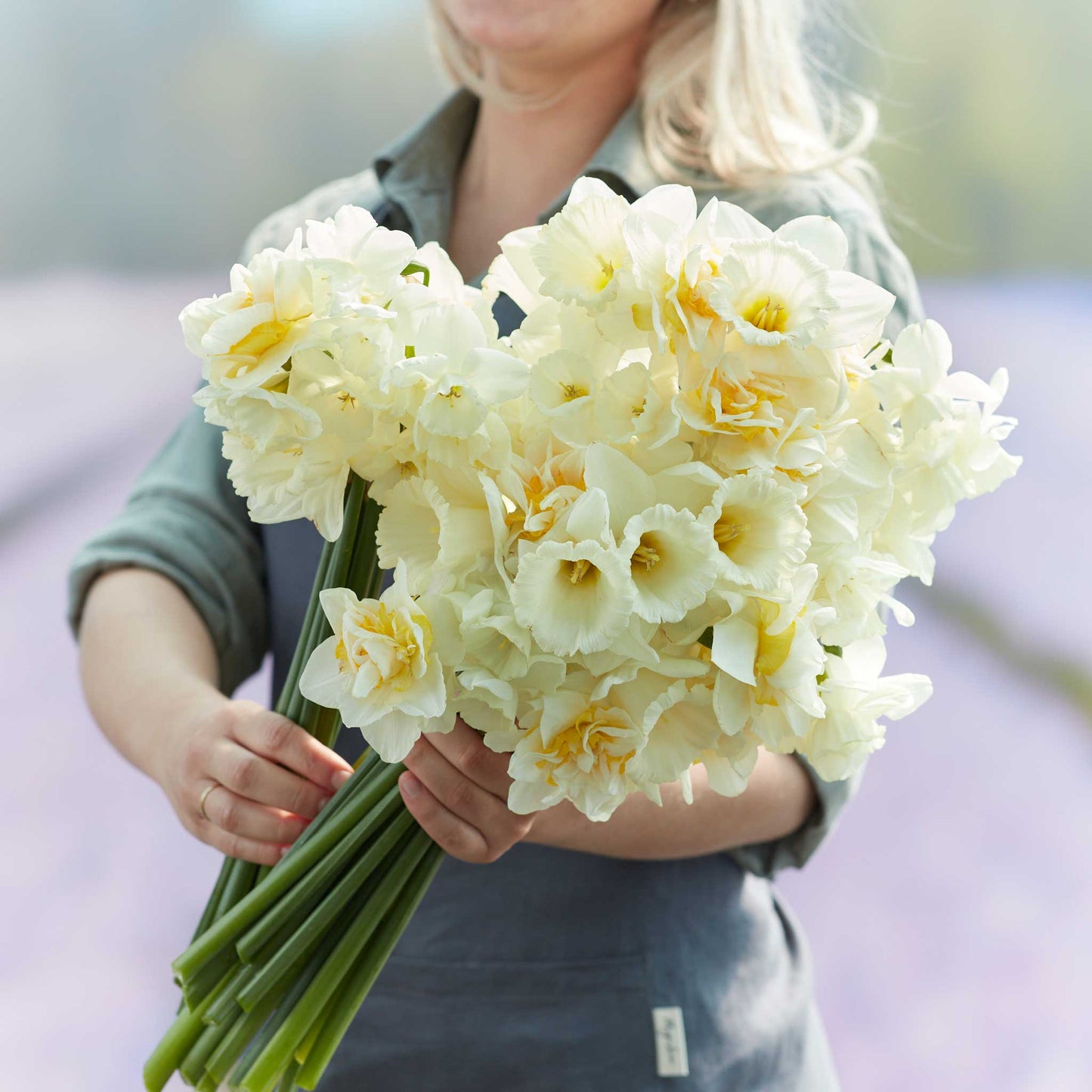 A person holding a bouquet of Lemondrop Mix daffodil flowers in a garden setting.