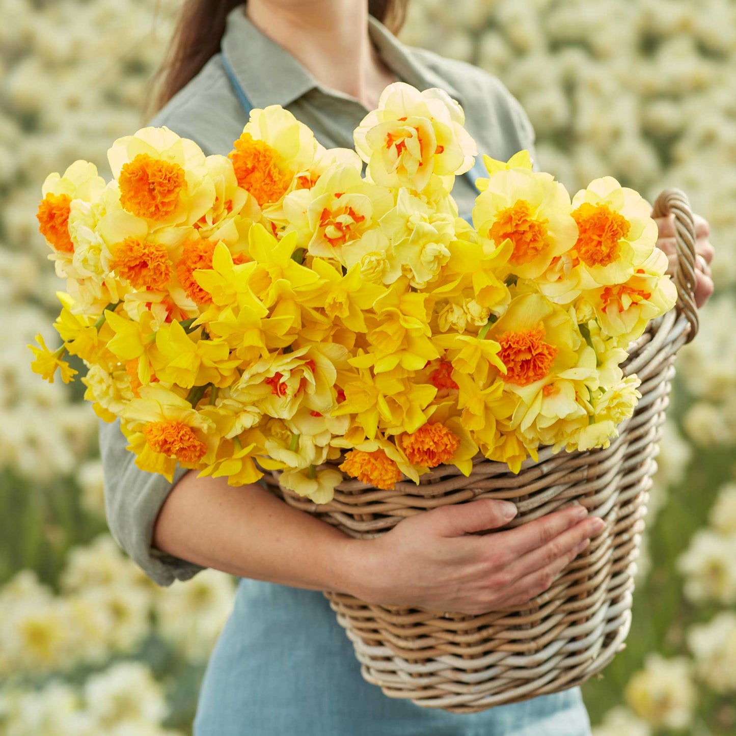 A person holding a basket bouquet of Mimosa Mix daffodil flowers in a garden setting.