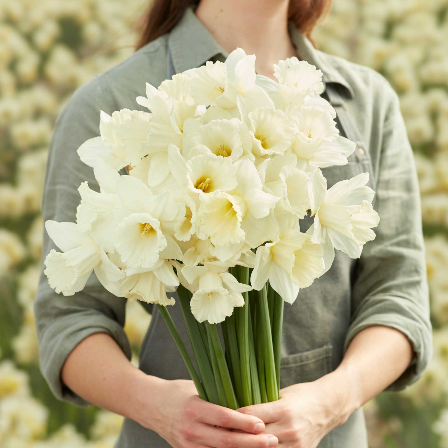 A bouquet of Mount Hood daffodils being held by a person in a garden setting.