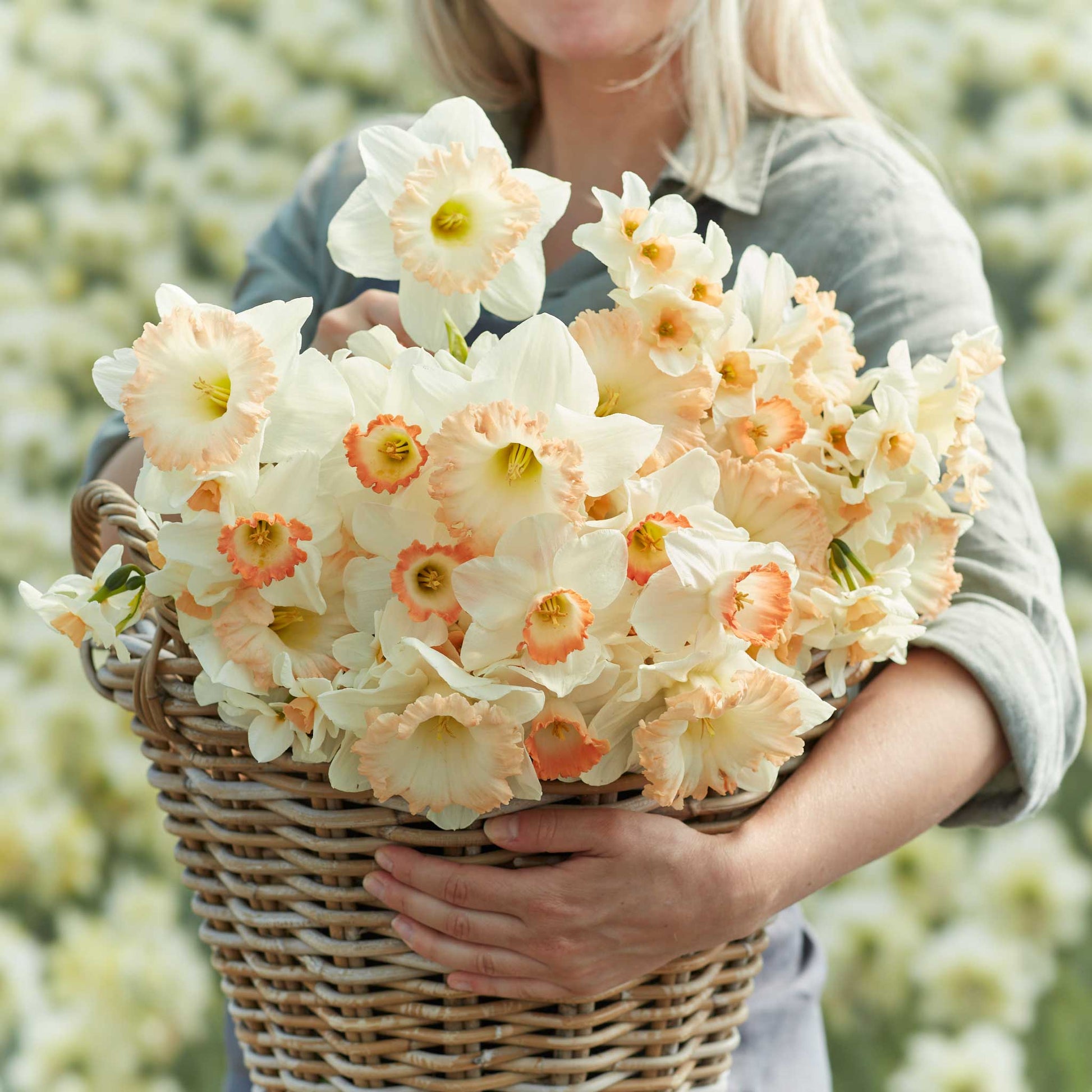 A person holding a basket bouquet of Pastel Charm Mix daffodil flowers in a garden setting.