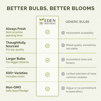Comparison chart between Eden Brothers and generic seeds, highlighting advantages of Eden Brothers' products.