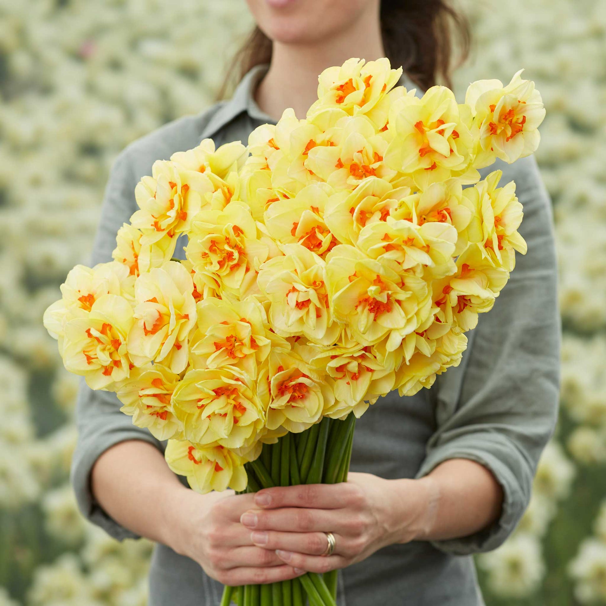A person holding a bouquet of Tahiti daffodil flowers in a garden setting.