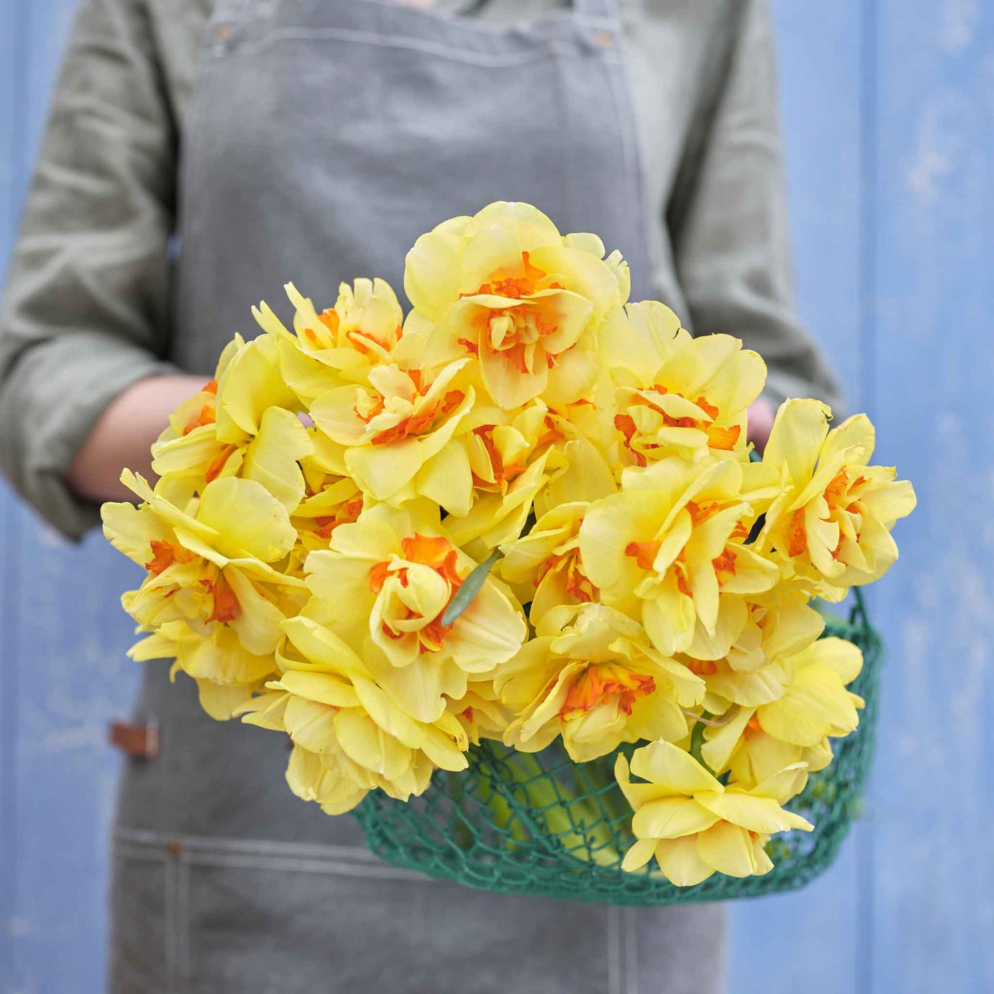 A person holding a bouquet of Tahiti daffodil flowers against a blue wall.