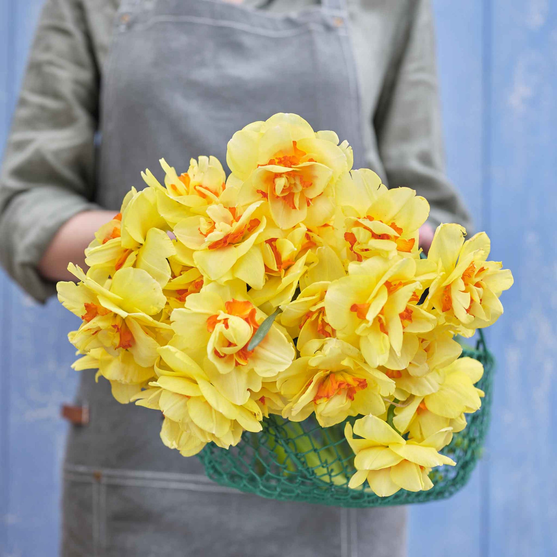 A person holding a bouquet of Tahiti daffodil flowers against a blue wall.