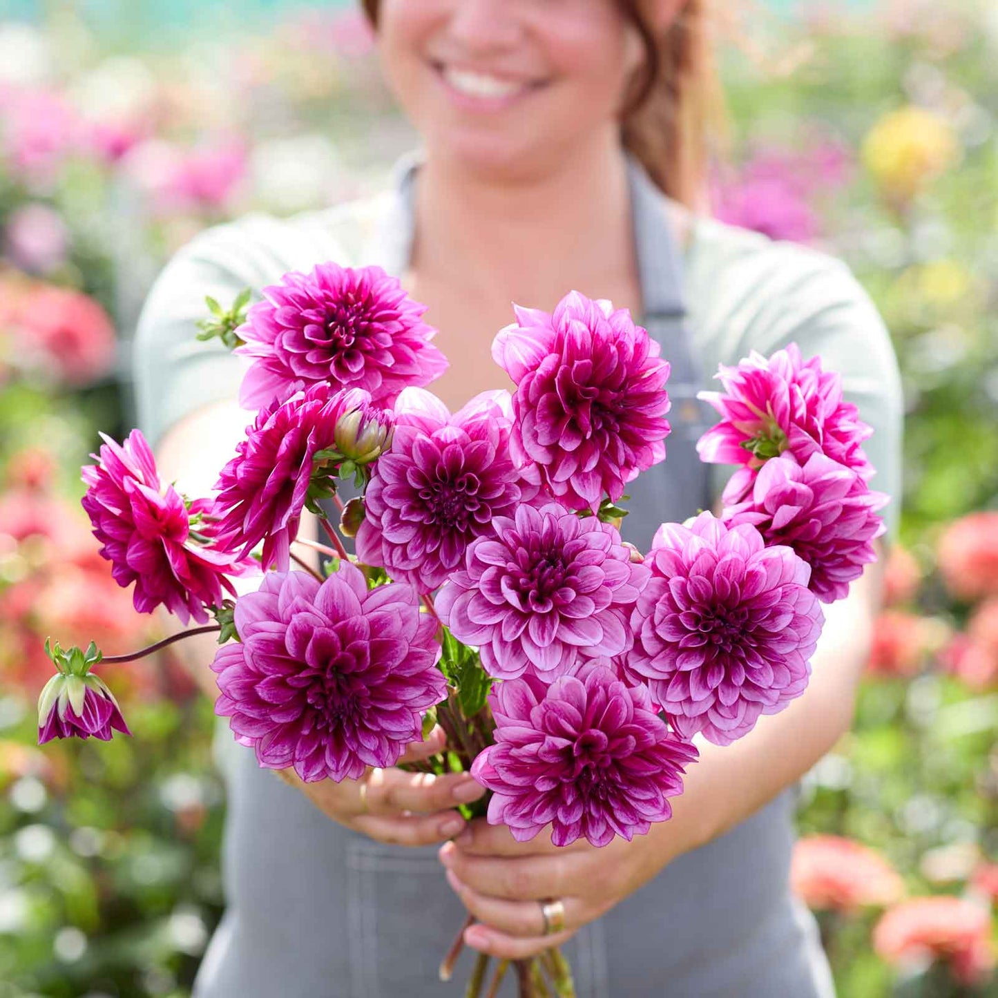 A person holding a bouquet of Blue Bell dahlia flowers in a garden setting.