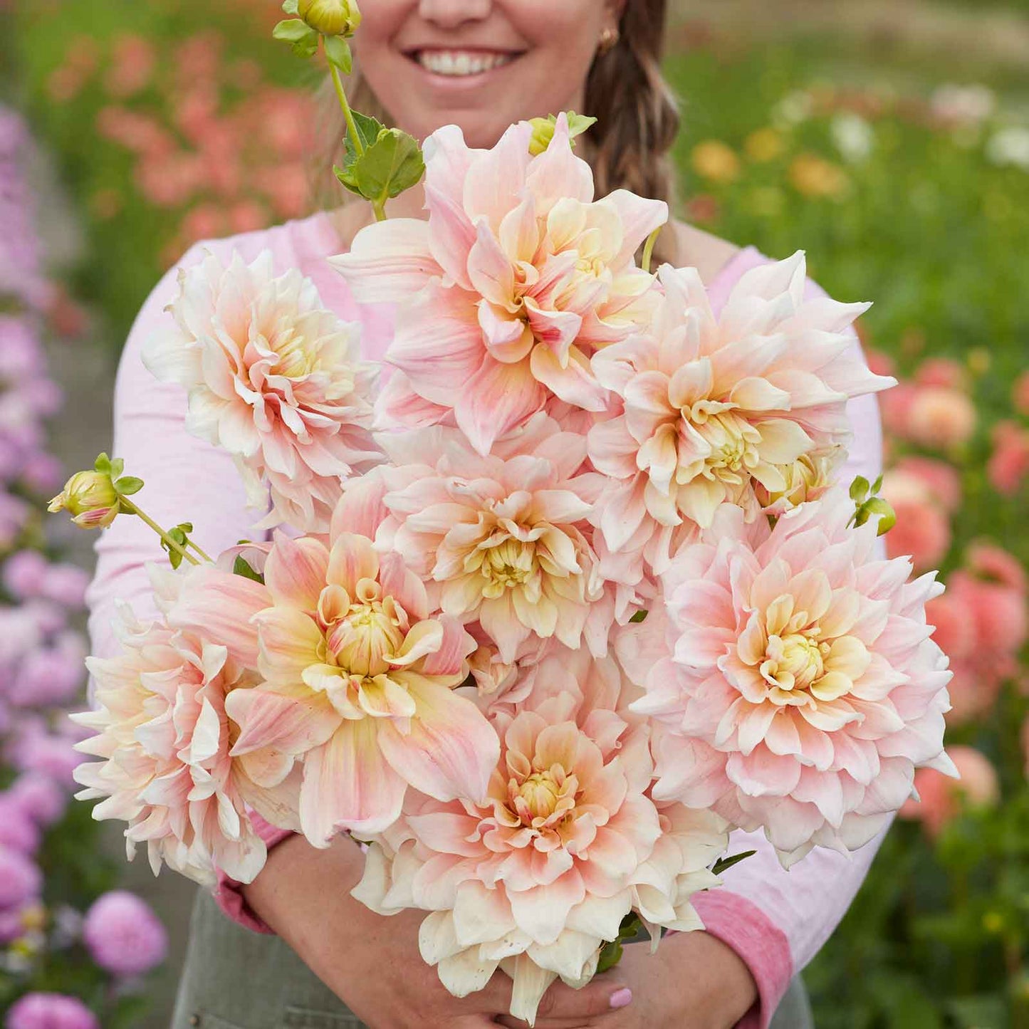 A person holding a bouquet of Break Out dahlia flowers in a garden setting.