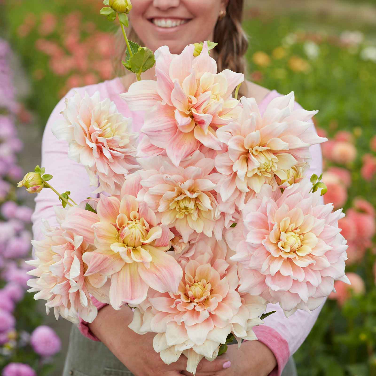 A person holding a bouquet of Break Out dahlia flowers in a garden setting.