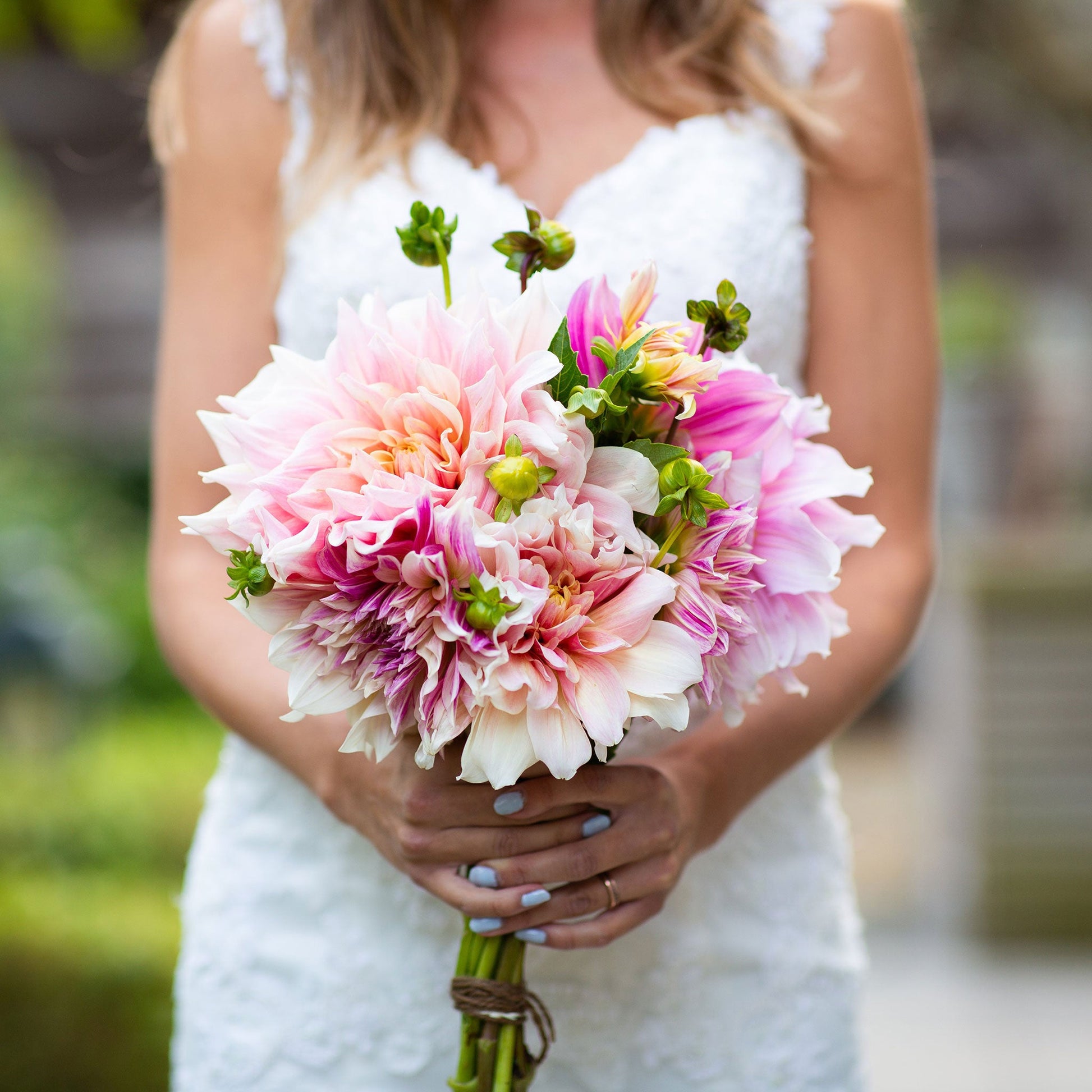 A person holding a bouquet of Bridal Bouquet Mix dahlia flowers in a garden setting.