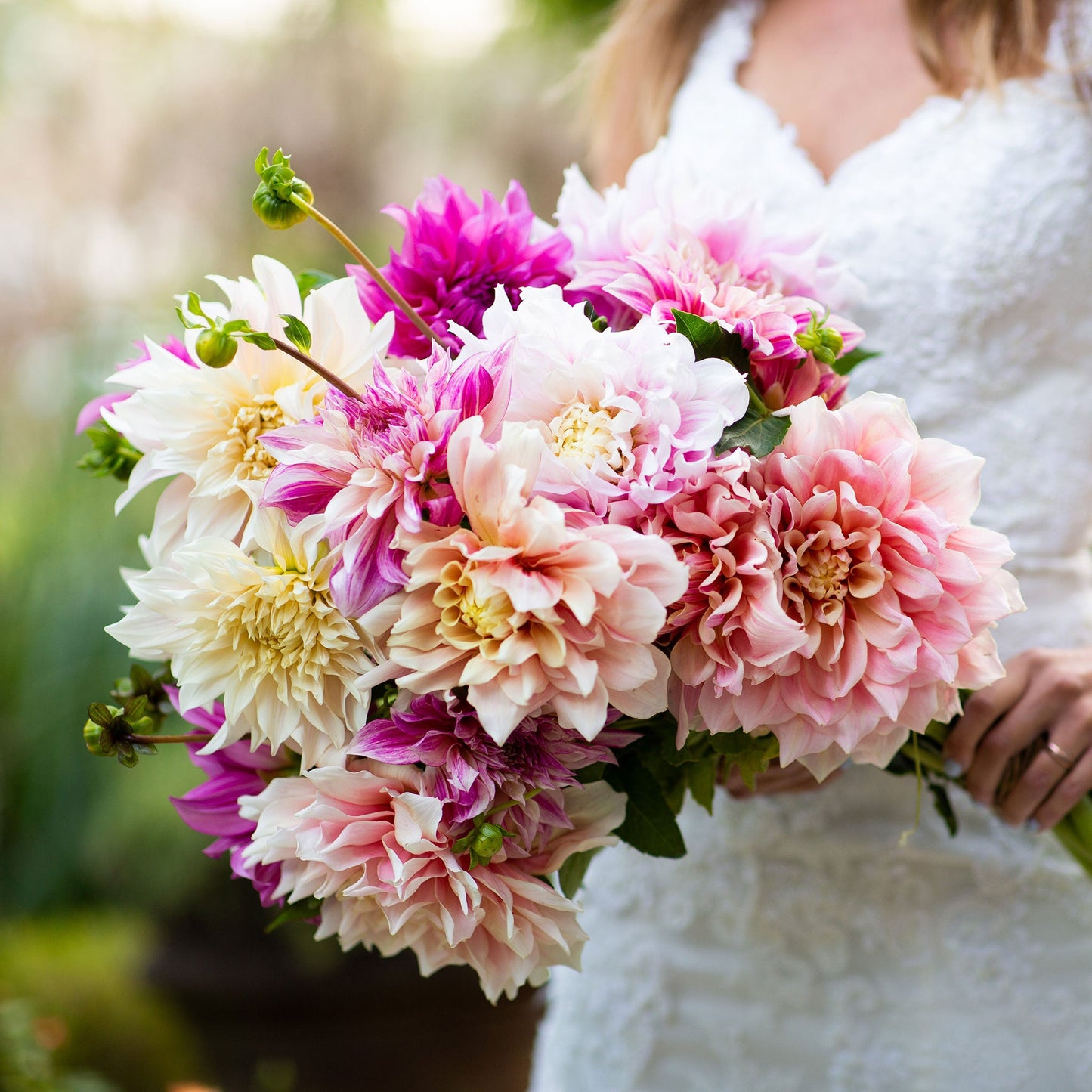 A person holding a bouquet of Bridal Bouquet Mix dahlia flowers in a garden setting.