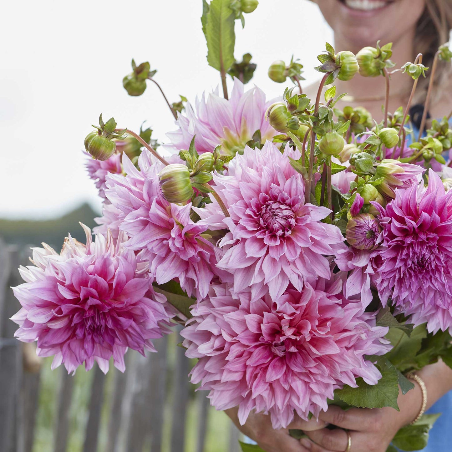 A person holding a bouquet of Cafe au Lait Rose dahlia flowers in a garden setting.