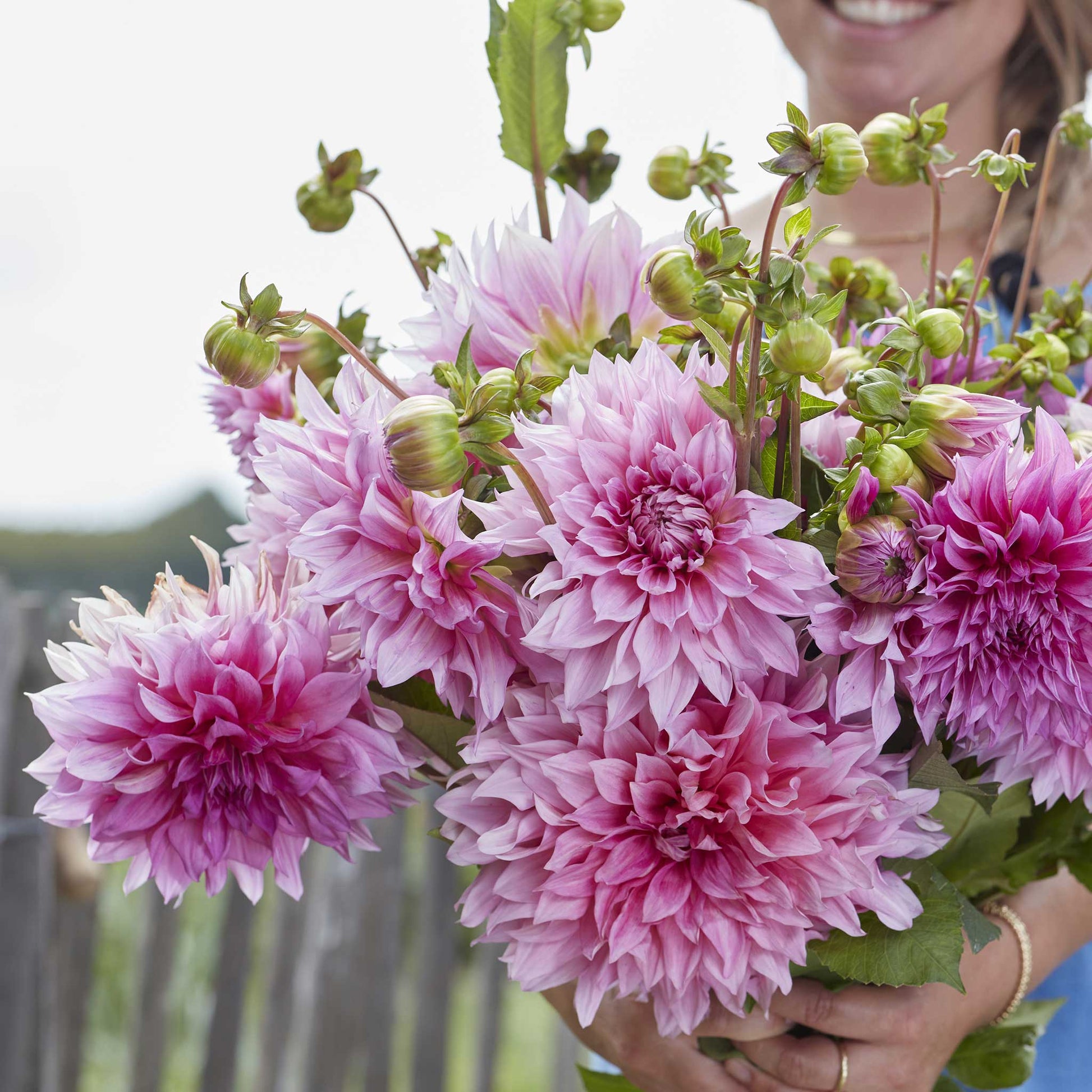 A person holding a bouquet of Cafe au Lait Rose dahlia flowers in a garden setting.