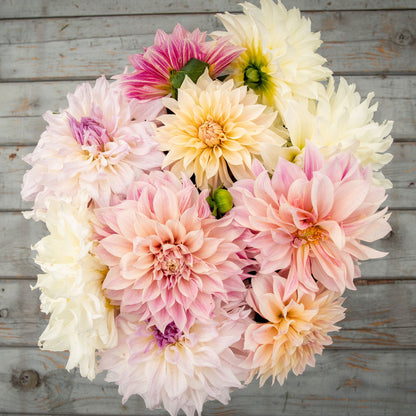 Overhead view of Celestial Mix dahlia bouquet showing the vibrant red, orange, and yellow colors on a wooden table.
