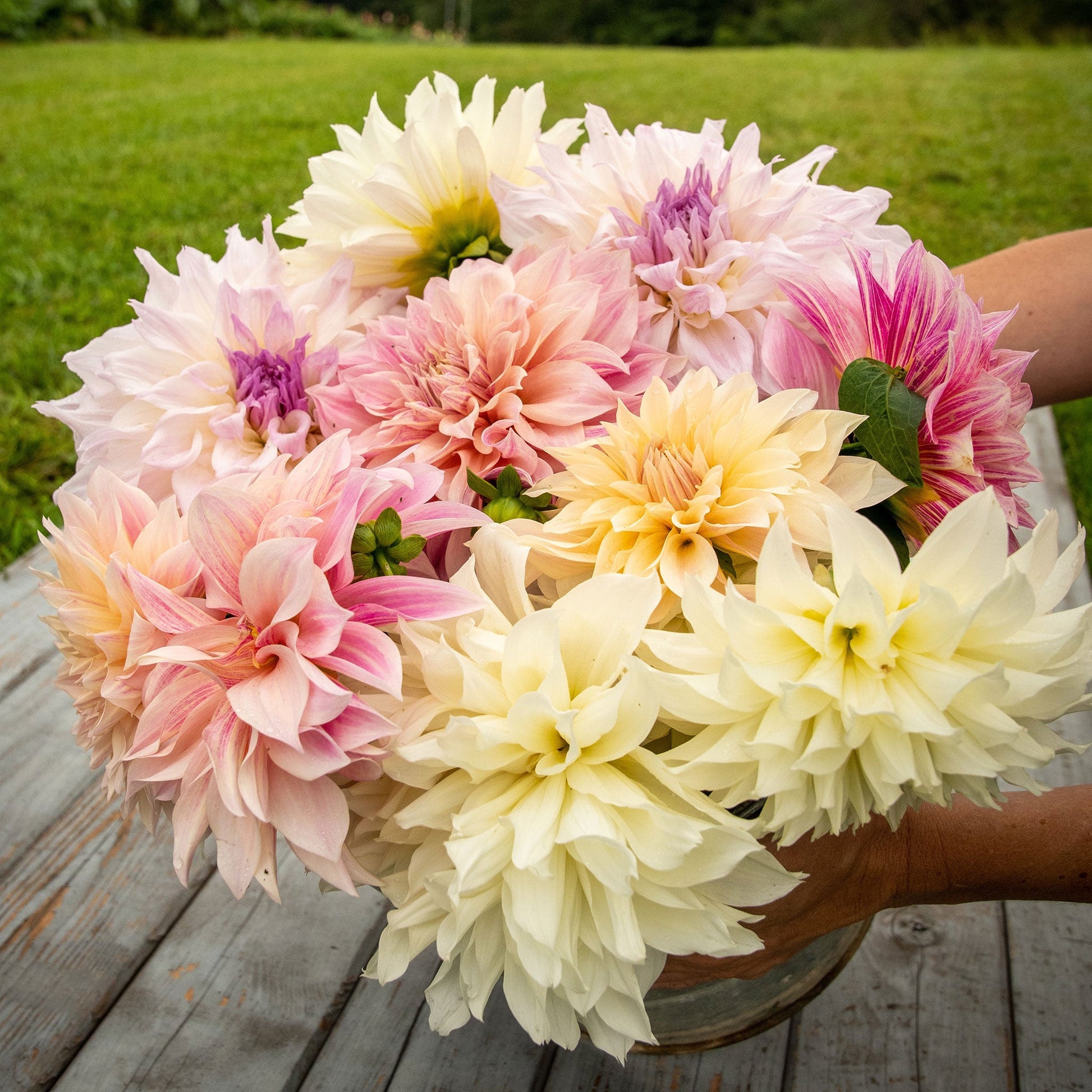 Overhead view of Celestial Mix dahlia bouquet showing the vibrant red, orange, and yellow colors on a wooden table.
