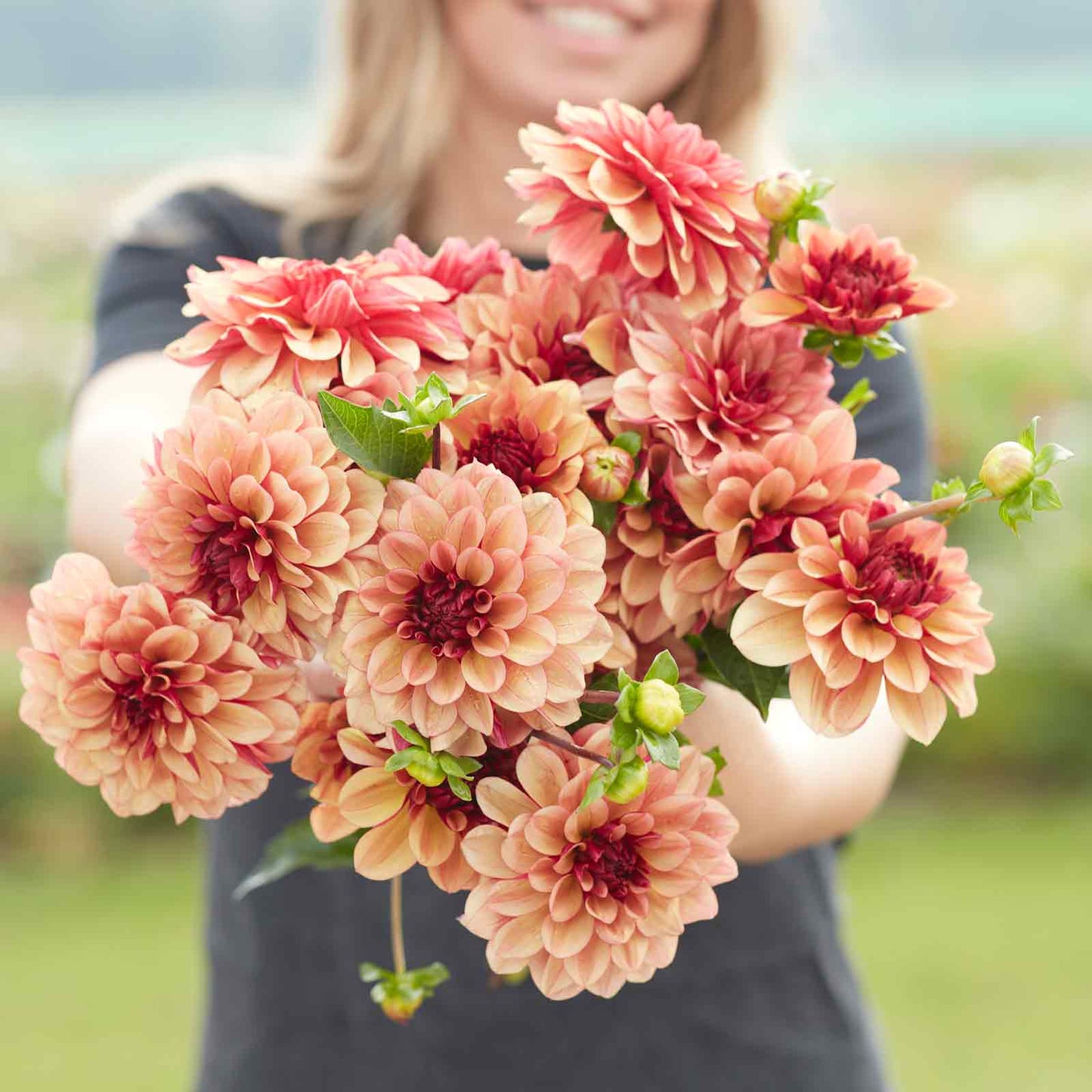 A person holding a bouquet of Creme de Cognac dahlia flowers in a garden setting.