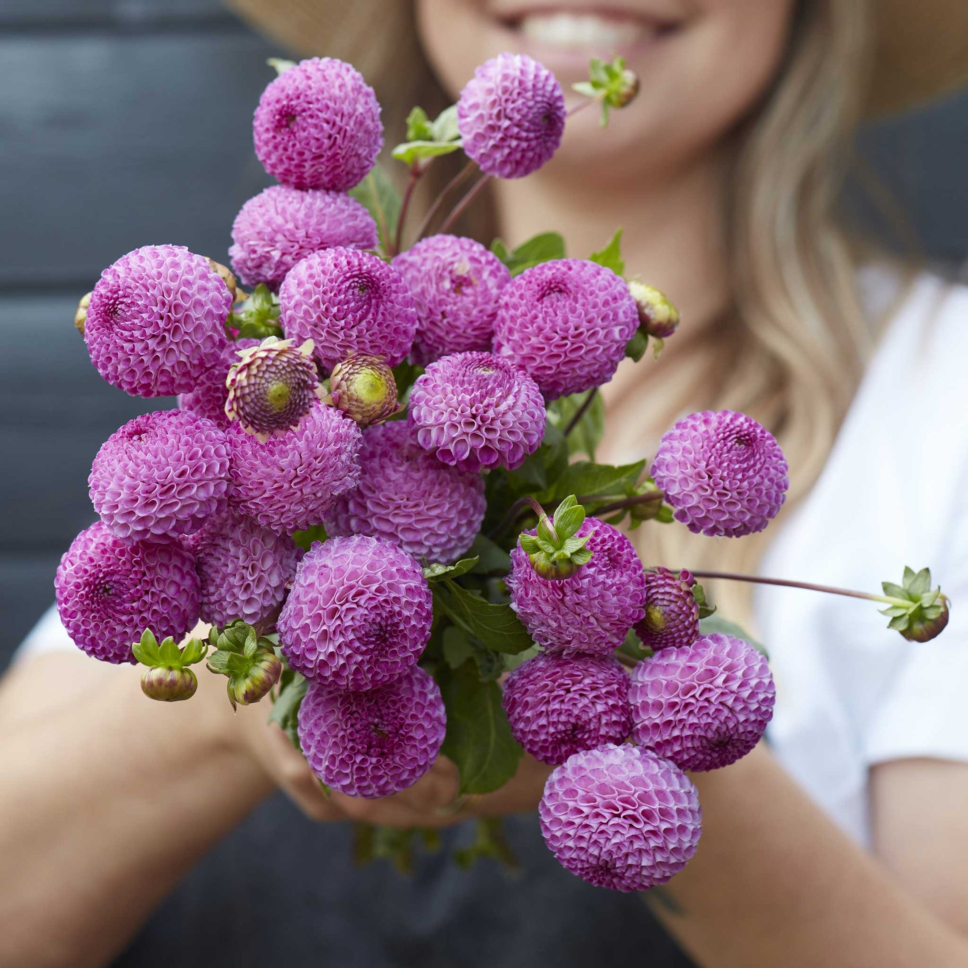 A person holding a bouquet of Frank Holmes dahlia flowers in a garden setting.