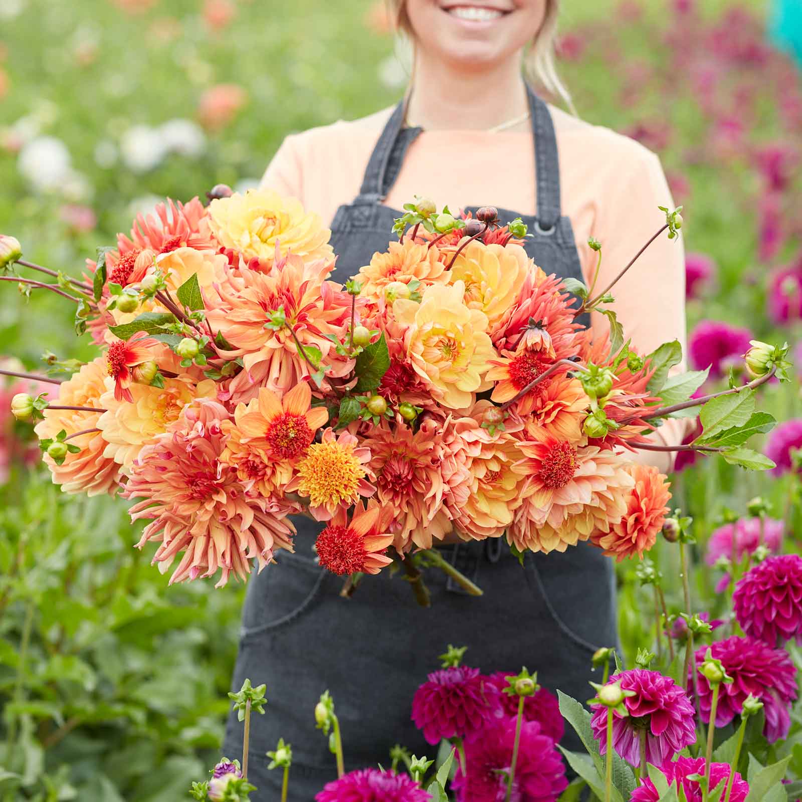 A person holding a bouquet of Ginger Spice Mix dahlia flowers in a garden setting.