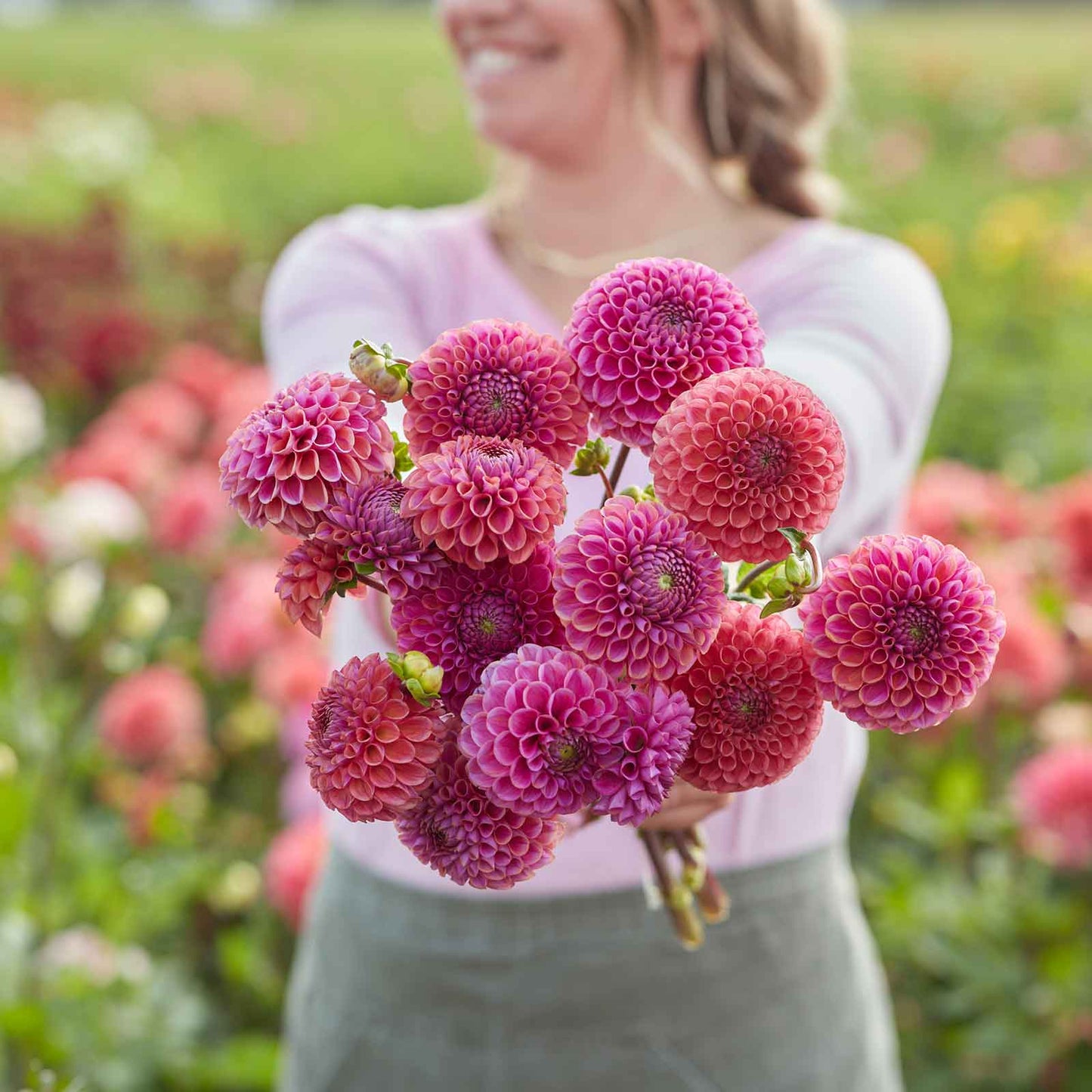 A person holding a bouquet of Isabel dahlia flowers in a garden setting.