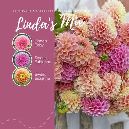 A graphic showing the individual contents of the Linda's Mix with a close up of a bouquet next to it.