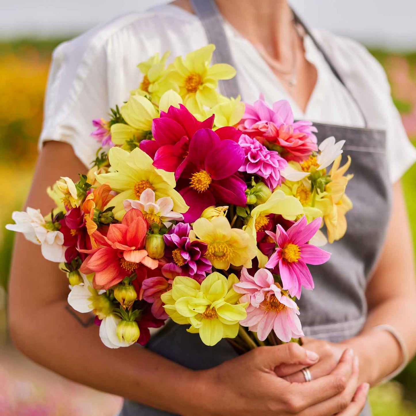 Pink and yellow dahlia mixed mignon flowers held in a bunch against a plain background.