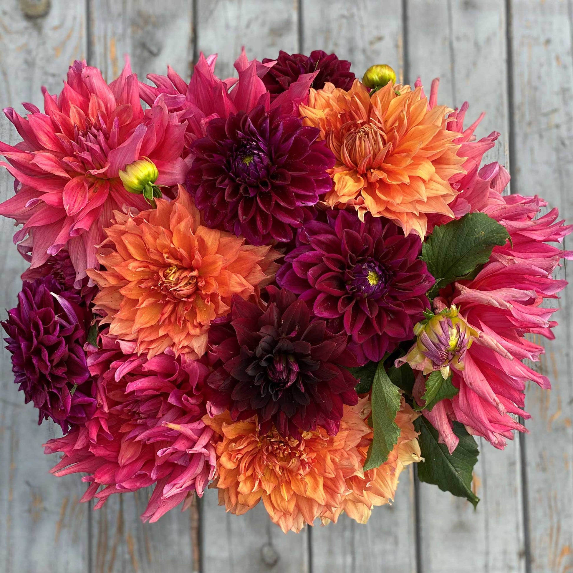 Overhead view of Passion Mix dahlia bouquet showing the vibrant red, orange, and pink colors on a wooden table.