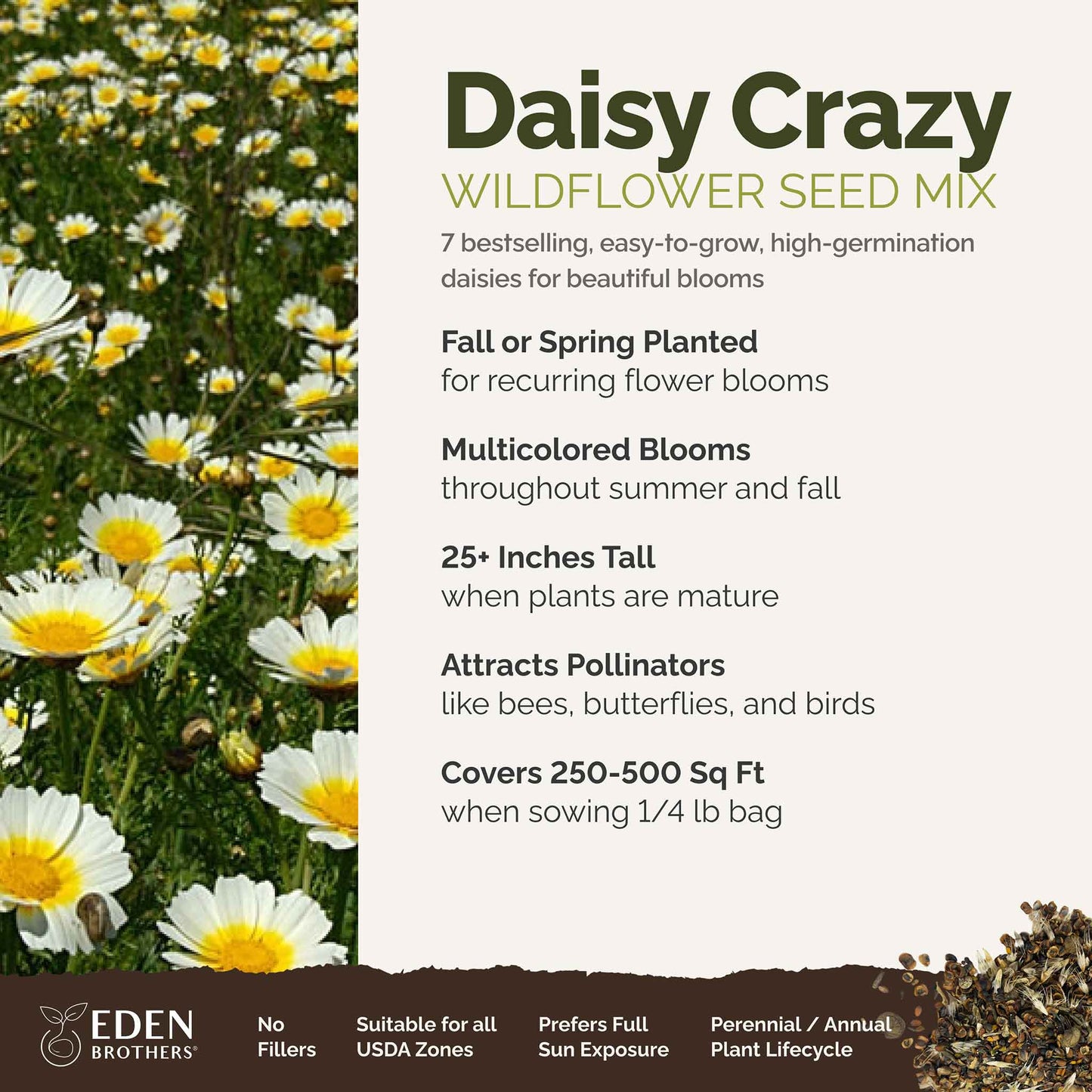 A visual overview of the wildflower seed mix, showcasing expected floral blooms.