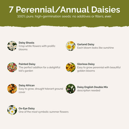 List of flower species and seeds included in the Wildflower Seed Mix.