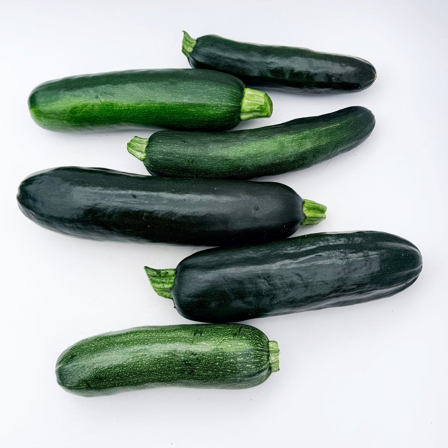 Dark Star Zucchini