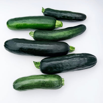Dark Star Zucchini